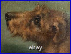 19th Century British Portrait Of Irish Terrier Dog Signed JOHN EMMS (1843-1912)