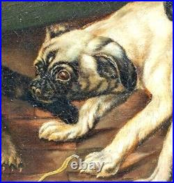 19th Century French School Pug Puppies & Tabby Cat Barn Scene Signed Painting