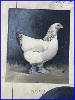 Antique 1910 Water Paint Signed Arthur Schilling Bantams Chickens Photographs