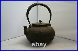 Antique Ryubundo Early Japanese Teapot Iron with Bronze Lid Signed Large Treasure