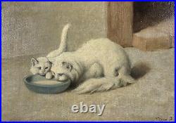 Antique c. 1910 Arthur Heyer Turkish Angora Kitten & Cat Drinking Milk SIGNED