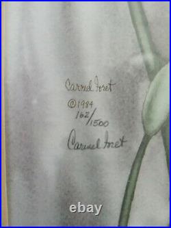 Carmel Foret Agapantis 1984 Signed & 162/1500 Framed 26 x 14