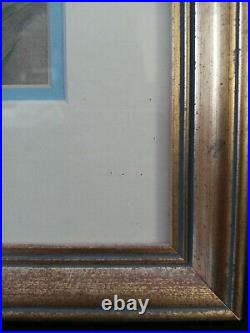 Carmel Foret Agapantis 1984 Signed & 162/1500 Framed 26 x 14