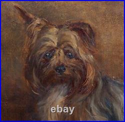 Circa 1900 English School Yorkshire Terrier Dog Portrait Signed WGF