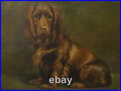 Fine Large 1908 English Brown Cocker Spaniel Dog Portrait Antique Oil Painting