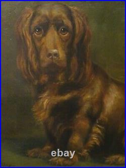 Fine Large 1908 English Brown Cocker Spaniel Dog Portrait Antique Oil Painting