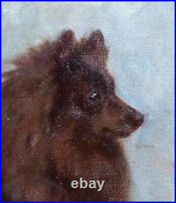 Fine Large 1910 English School Brown Spitz Dog Portrait Signed Antique Painting