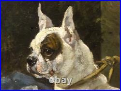 Fine Large 19th Century French Bulldog Dog Portrait Antique Oil Painting Signed