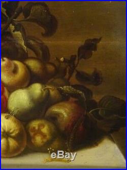 Large 17th Century Dutch Old Master Still Life Fruit Insects Mouse Butterflies