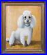 Large 20th Century English School Portrait Of A White Toy Poodle Signed