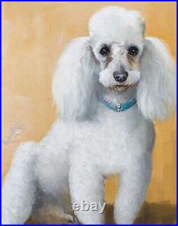 Large 20th Century English School Portrait Of A White Toy Poodle Signed