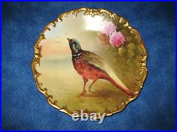 Large Antique French Hand Painted Charger / Plate Signed Bird Scene