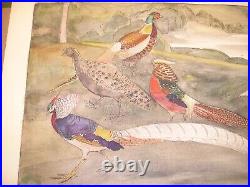 Large Fantastic Watercolor by Fuji Nakamizo of Pheasants