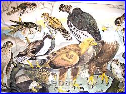 Large Fantastic Watercolor by Fuji Nakamizo of Predator Birds