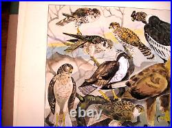 Large Fantastic Watercolor by Fuji Nakamizo of Predator Birds