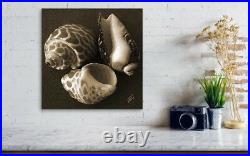 Seashells Large Black and White Sepia Fine Art Print on Metal or Acrylic No 1
