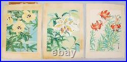 Set of 3 Large Signed 19th C. JAPANESE WOODBLOCK Prints of Flowers c. 1890
