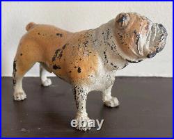 Vienna Bronze Antique Cold Painted Dog Bulldog Marked/Signed Large