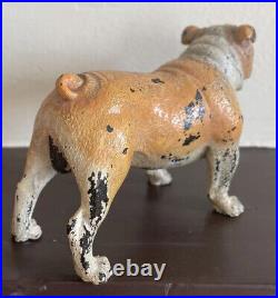 Vienna Bronze Antique Cold Painted Dog Bulldog Marked/Signed Large