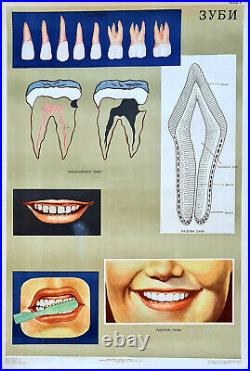 Vintage Antique Russian Health Dentist Poster? Ussr Children Tooth Care Dental