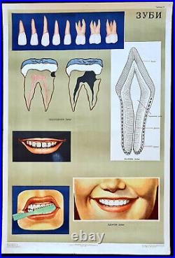 Vintage Antique Russian Health Dentist Poster? Ussr Children Tooth Care Dental