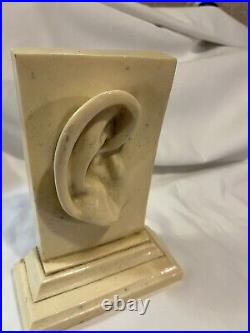 Vintage Large Ear Statue Art Deco Unique